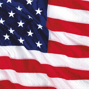Ubrousky - motiv USA